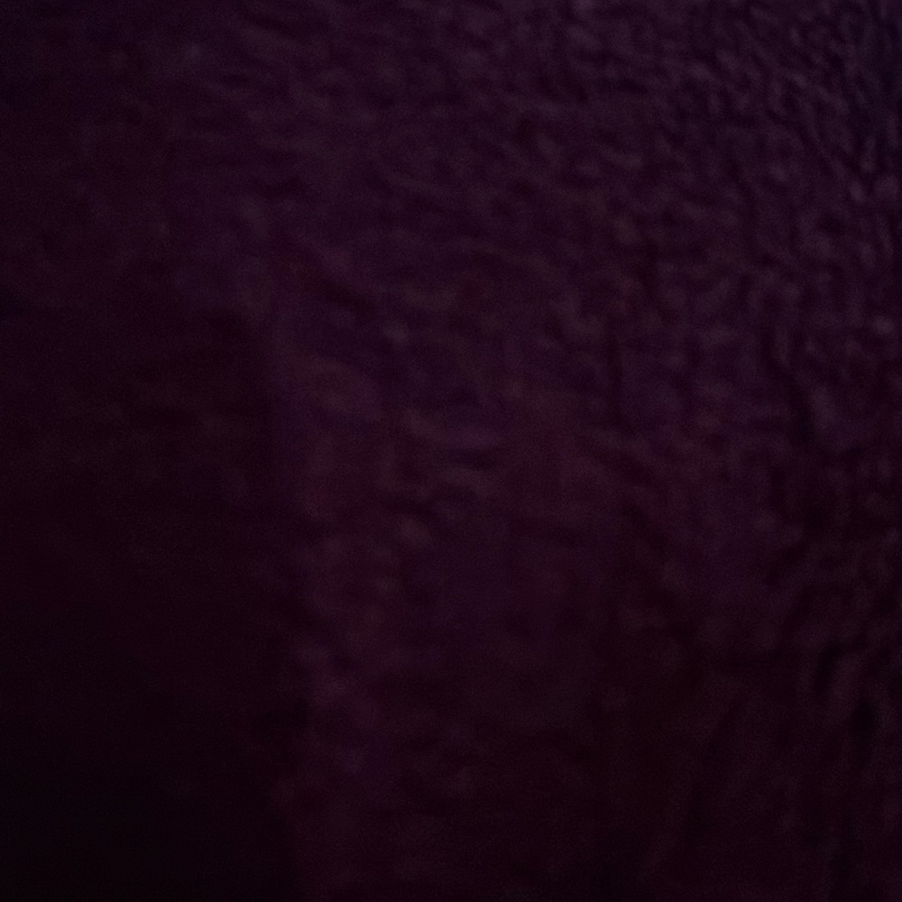 NEW Longchamp Le Pilage Tote Purple Authentic Bag